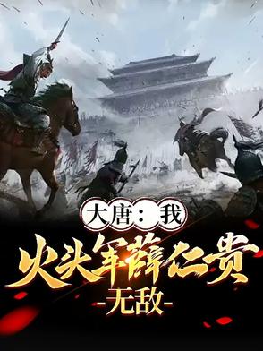 大唐我火头军薛仁贵无敌